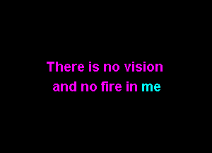 There is no vision

and no fire in me