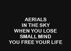 AERIALS
IN THE SKY

WHEN YOU LOSE
SMALL MIND
YOU FREE YOUR LIFE