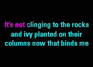 It's not clinging to the rocks

and ivy planted on their
columns now that binds me