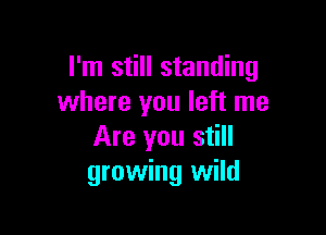 I'm still standing
where you left me

Are you still
growing wild