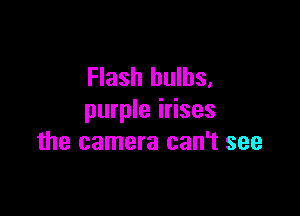 Flash bulbs,

purple irises
the camera can't see