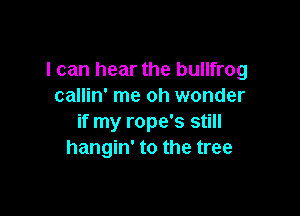 I can hear the bullfrog
callin' me oh wonder

if my rope's still
hangin' to the tree