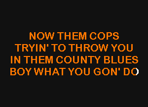 NOW THEM COPS
TRYIN' T0 THROW YOU
IN THEM COUNTY BLUES
BOYWHAT YOU GON' D0