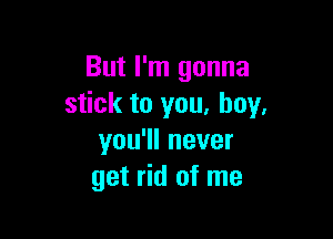 But I'm gonna
stick to you. boy.

you'll never
get rid of me