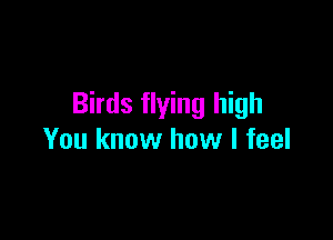 Birds flying high

You know how I feel