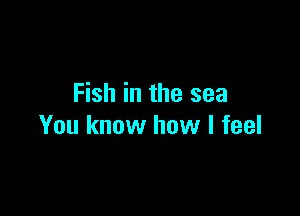 Fish in the sea

You know how I feel