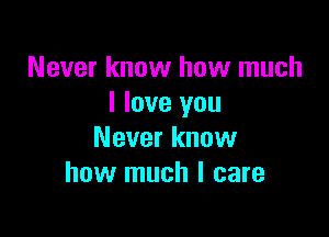 Never know how much
I love you

Never know
how much I care