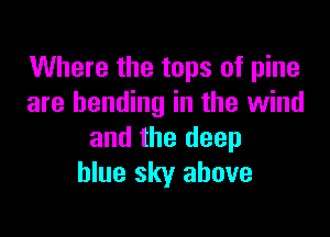 Where the tops of pine
are bending in the wind

and the deep
blue sky above