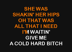 SHEWAS
SHAKIN' HER HIPS
OH THAT WAS

ALL THATI NEED
I'M WAITIN'
GIVE ME
A COLD HARD BITCH