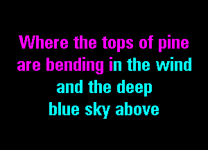 Where the tops of pine
are bending in the wind

and the deep
blue sky above