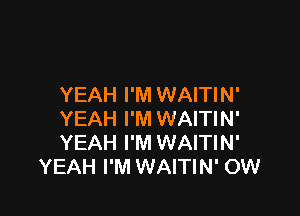 YEAH I'M WAITIN'

YEAH I'M WAITIN'
YEAH I'M WAITIN'
YEAH I'M WAITIN' OW