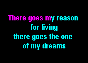 There goes my reason
for living

there goes the one
of my dreams