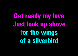 Get ready my love
Just look up above

for the wings
of a silverhird