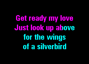 Get ready my love
Just look up above

for the wings
of a silverhird