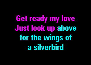 Get ready my love
Just look up above

for the wings of
a silverhird