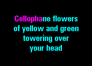 Cellophane flowers
of yellow and green

towering over
your head