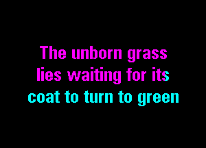The unborn grass

lies waiting for its
coat to turn to green