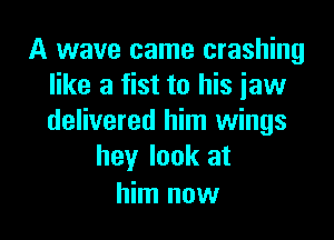A wave came crashing
like a fist to his jaw

delivered him wings
hey look at

him now