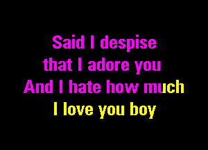 Said I despise
that I adore you

And I hate how much
I love you boy