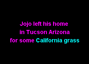 Jojo left his home

in Tucson Arizona
for some California grass