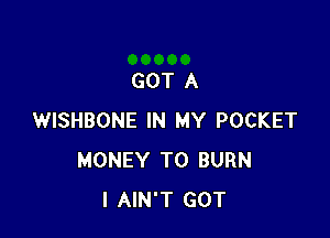 GOT A

WISHBONE IN MY POCKET
MONEY T0 BURN
l AIN'T GOT