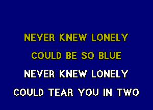 NEVER KNEW LONELY

COULD BE 30 BLUE
NEVER KNEW LONELY
COULD TEAR YOU IN TWO