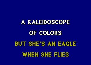 A KALEIDOSCOPE

0F COLORS
BUT SHE'S AN EAGLE
WHEN SHE FLIES