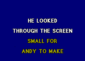 HE LOOKED

THROUGH THE SCREEN
SMALL FOR
ANDY TO MAKE