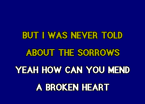 BUT I WAS NEVER TOLD

ABOUT THE SORROWS
YEAH HOW CAN YOU MEND
A BROKEN HEART