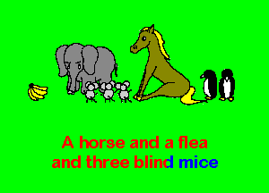 A horse and a flea
and three blind mice