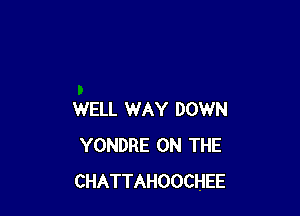 WELL WAY DOWN
YONDRE ON THE
CHATTAHOOCHEE