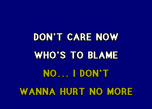 DON'T CARE NOW

WHO'S T0 BLAME
NO... I DON'T
WANNA HURT NO MORE