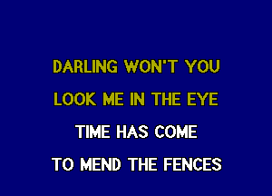 DARLING WON'T YOU

LOOK ME IN THE EYE
TIME HAS COME
TO MEND THE FENCES