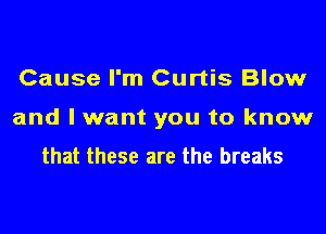 Cause I'm Curtis Blow
and I want you to know

that these are the breaks