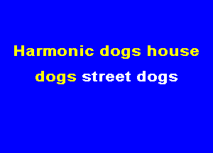 Harmonic dogs house

dogs street dogs