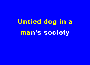 Untied dog in a

man's society