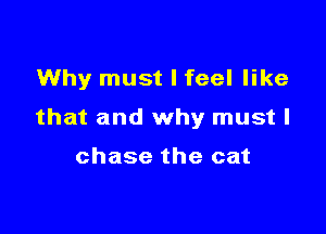 Why must I feel like

that and why mustl

chase the cat