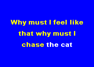 Why must I feel like

that why must I

chase the cat