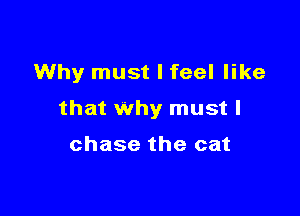 Why must I feel like

that Why must I

chase the cat