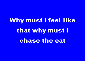 Why must I feel like

that why must I

chase the cat