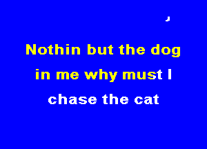 J

Nothin but the dog

in me why mustl

chase the cat