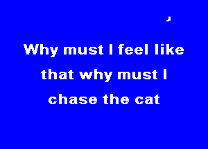 J

Why must I feel like

that why must I

chase the cat