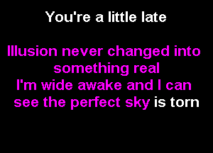 You're a little late

Illusion never changed into
something real
I'm wide awake and I can
see the perfect sky is torn