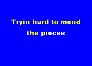 Tryin hard to mend

the pieces