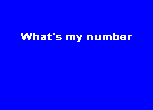 What's my number