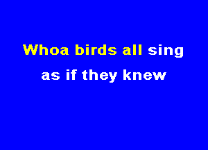 Whoa birds all sing

as if they knew