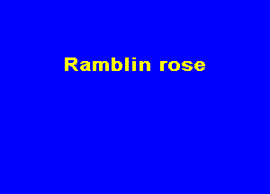 Ramblin rose