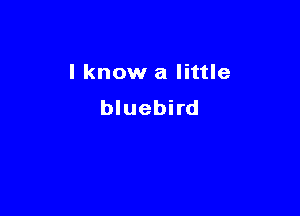 I know a little

bluebird