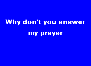Why don't you answer

my prayer