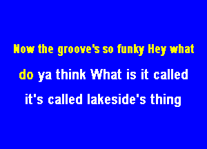 How the groovels so funky Hey what
do ya think What is it called

it's called lakeside's thing